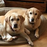 Vicky Crouse - @mvcrouse - Instagram