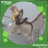vickidahlgren - @vickidahlgren - TikTok