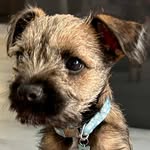 Vicki Davey - @vickijdee - Instagram