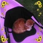 Vicki Davey - @wvdavey - Instagram