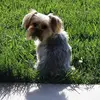 Vickie Davey - @vickie.davey - TikTok