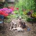 Vicki Dexter - Facebook