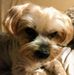 Vicki Dillard - Facebook