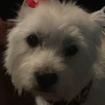 Vicki Dillon - @omegadillon - Instagram