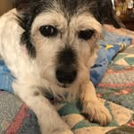 Vicki Dutton Reid - @babyboomer_capricorn - Instagram