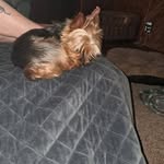 Vicki Eason - @eason8268 - Instagram