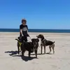 vickieisenhardt7 - @vickieisenhardt7 - TikTok