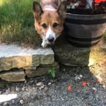 Vicki Elliott Tolhurst - @vtolhurst - Instagram