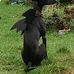 Vickie Elliott - Facebook