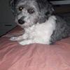 Vicki Elmore960 - @vickielmore0 - TikTok