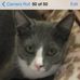 Vicki Endsley - Facebook
