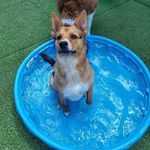 Vicki Ernst - @punkcat89 - Instagram