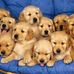 Vicky Ernst - Facebook