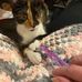 Vicki Esch - Facebook