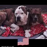 Vicki Ferrell - @vicki.ferrell.9 - Instagram