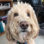 Vicki Foreman - @vickiforeman57 - Instagram