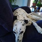 Vicki Forrest - @vicki.forrest.731 - Instagram
