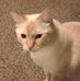 Vicki Forrest - Facebook