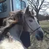 Vicki Fraser - @vicki.fraser6 - TikTok