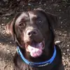 vickifraser995 - @vickifraser995 - TikTok