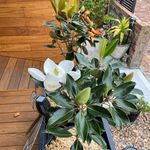 vicki frith - @frithv - Instagram