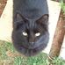 Vickie Frith - Facebook