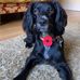 Vicky Frith - Facebook