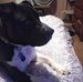 Vicki Fuller - Facebook
