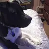 Vicki Fuller - @vicki.fuller46 - TikTok
