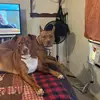Vicki Fuller - @vicki.fuller6 - TikTok