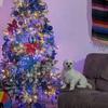 Vicki Funk - @vicki.funk - TikTok