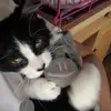 vicchic - @vickigallafoy - TikTok