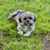 Vicki Gallinat - @vicki.gallinat - TikTok