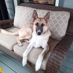 Vicki Gates - Facebook