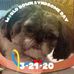 Vicki Gavin - Facebook