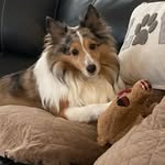 Vicky Geist - @vjgeist - Instagram