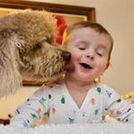 Vicki Gibbs - @vicki.gibbs.142 - Instagram