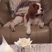 Vicki Gibbs - Facebook