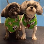 Vicki Gibbs Walters - @vickiwalters115 - Instagram
