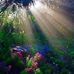 Vickie Gibbs - Facebook