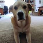 Vicki Gideon - @vgideon01 - Instagram