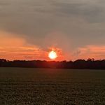 Vicki Gilbert - @vicki.gilbert.33 - Instagram