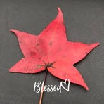 Vicki Grant - Facebook
