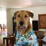 Vicki Grant - @vickigrant709 - Instagram