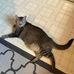 Vicki Gray - Facebook