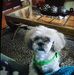 Vicki Gregory - Facebook