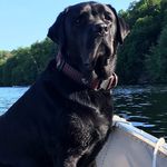 Vicki Gregory - @vgregoryweir - Instagram