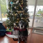 Vicki Grubbs - @vickigrubbs7 - Instagram