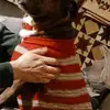 vickigrubbs2 - @vicki.grubbs - TikTok