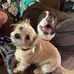 Vicki Hagan - Facebook